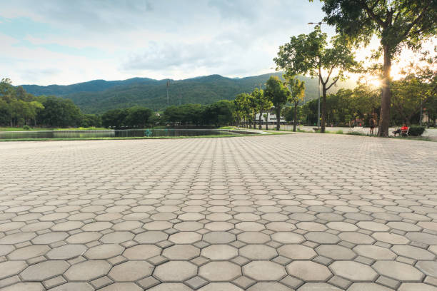 Best Custom Driveway Pavers  in Woodland, CA